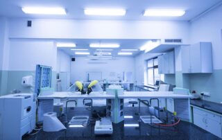 Foto: shutterstock.com